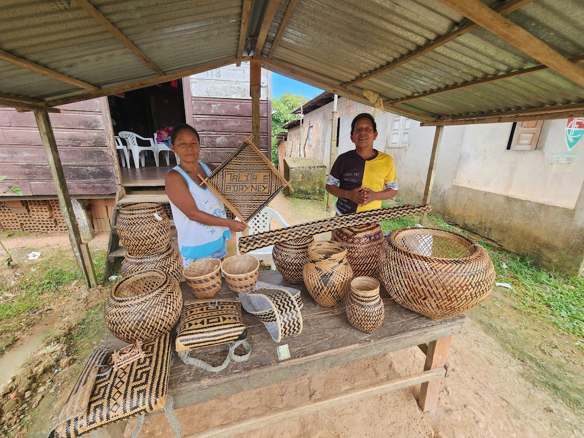 Panorama da Bioeconomia na região do Alto Solimões: Realidades, potencialidades e oportunidades