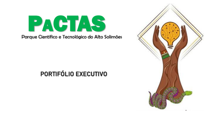 Portfólio - EXECUTIVO