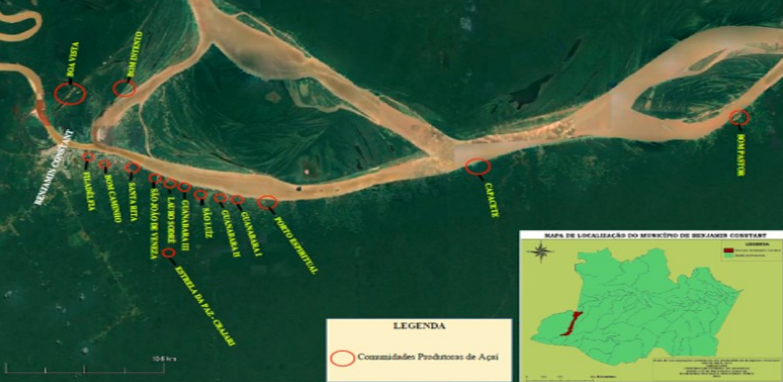 Portfolio - FRUTAS E PLANTAS MEDICINAIS