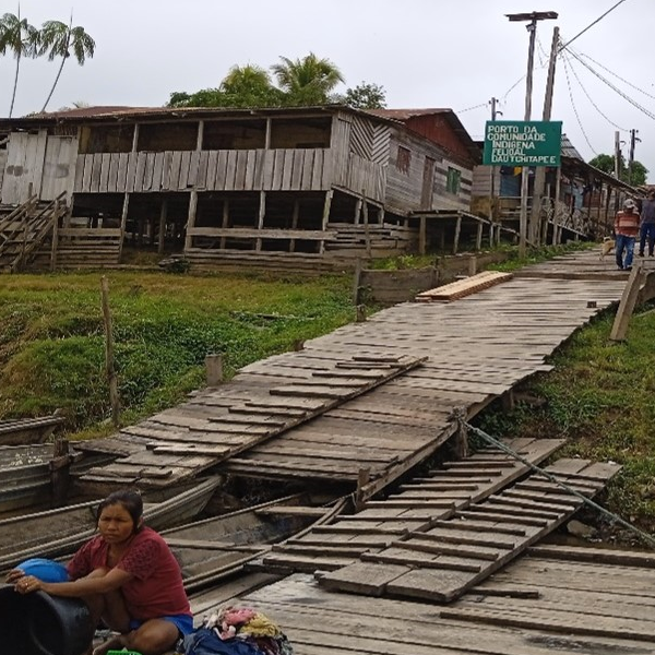 AGROBIODIVERSIDADE NAS ROÇAS DA COMUNIDADE INDÍGENA FEIJOAL, MUNICÍPIO DE BENJAMIN CONSTANT – AM: DO PLANTIO TRADICIONAL À PRODUÇÃO ARTESANAL DE FARINHA